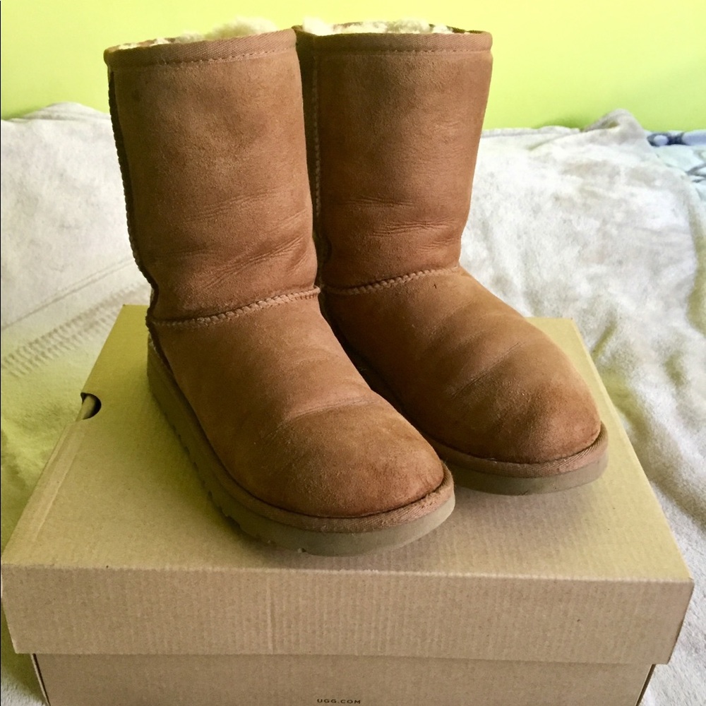 Short Chestnut Uggs